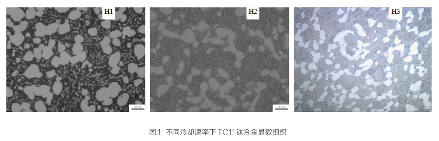 1646649416176458.jpg 31.jpg